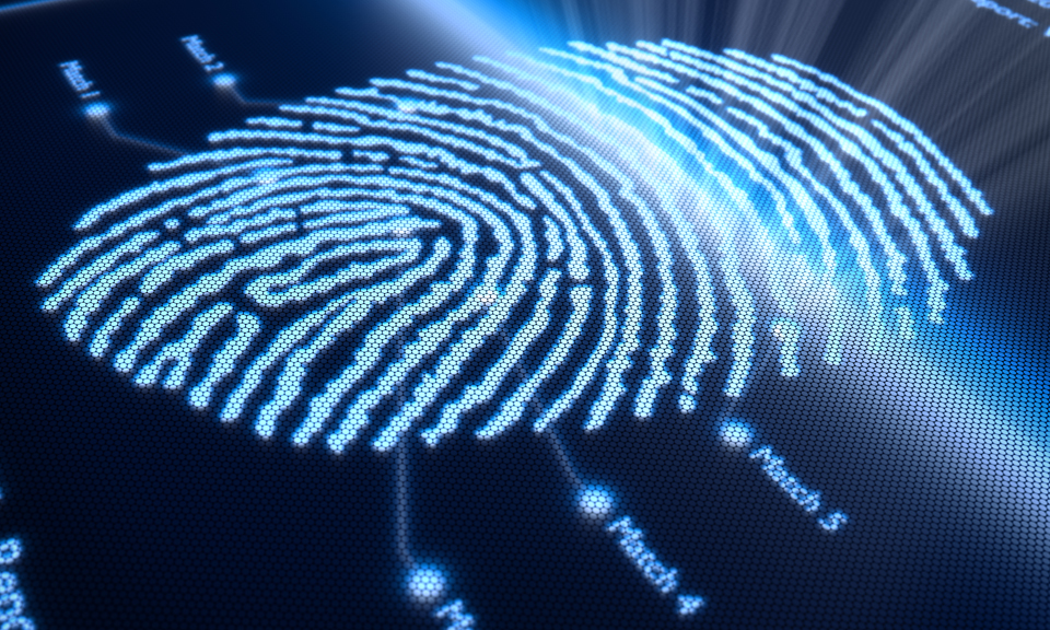 Уникальные отпечатки браузера – fingerprints